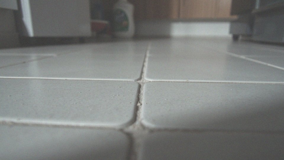 Jakie problemy zdrowotne mogą być związane z prusakami?