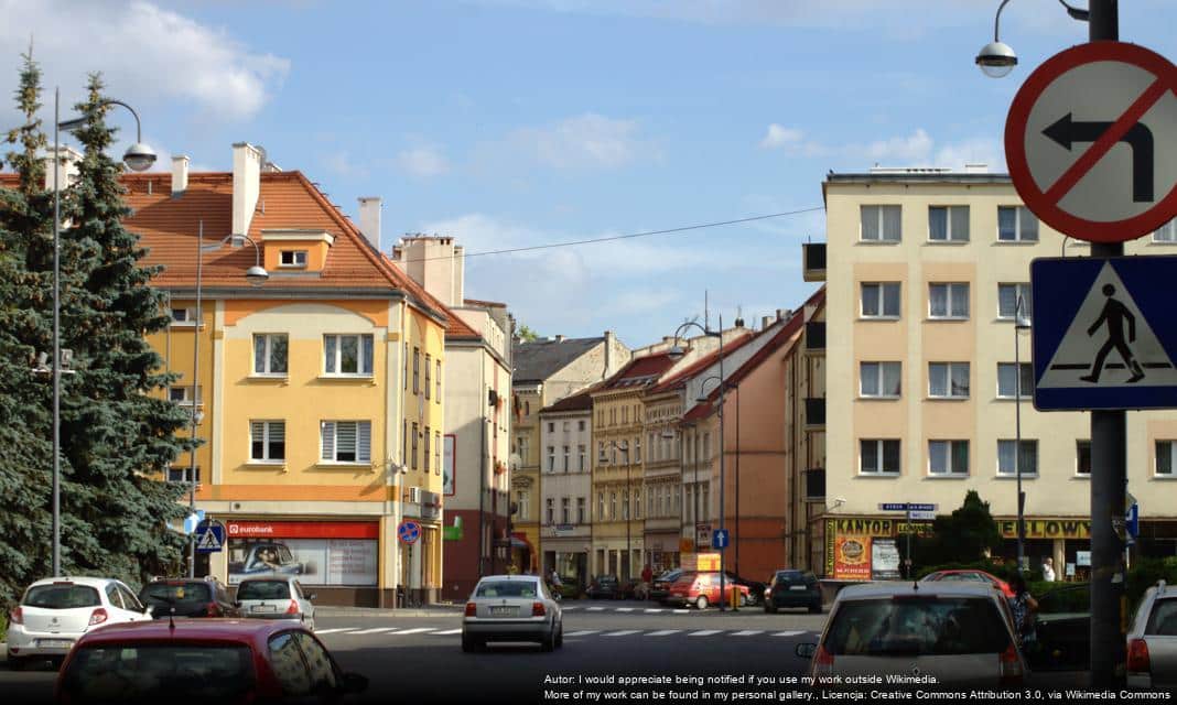 Wprowadzenie nowej Polskiej Klasyfikacji Działalności (PKD 2025) dla przedsiębiorców w Oławie