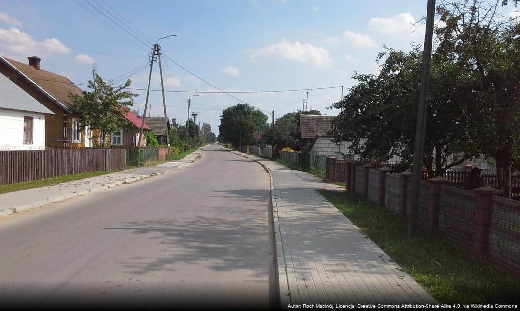 Badanie dla przedsiębiorców dotyczące zielonej transformacji na Dolnym Śląsku